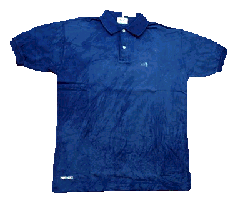 APE Polo Shirt